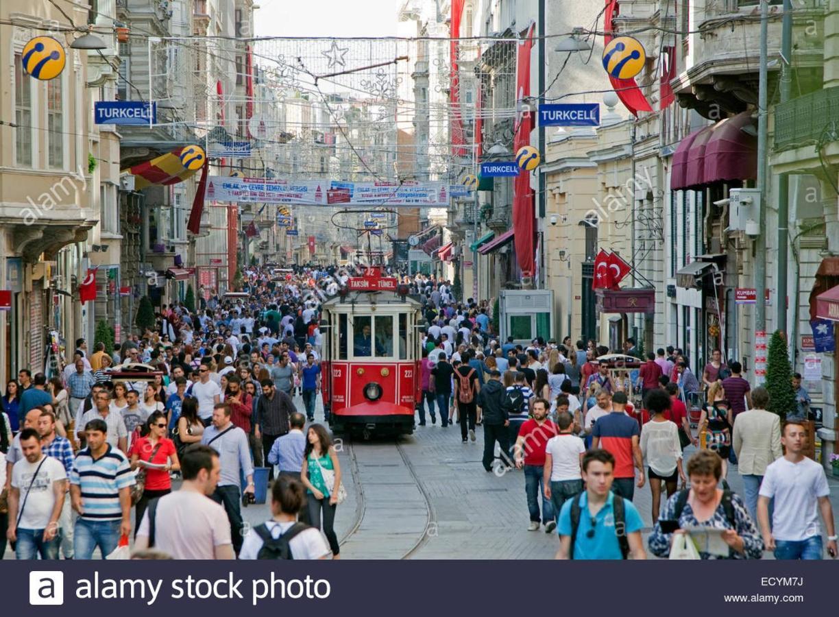 Taksim Lion 37