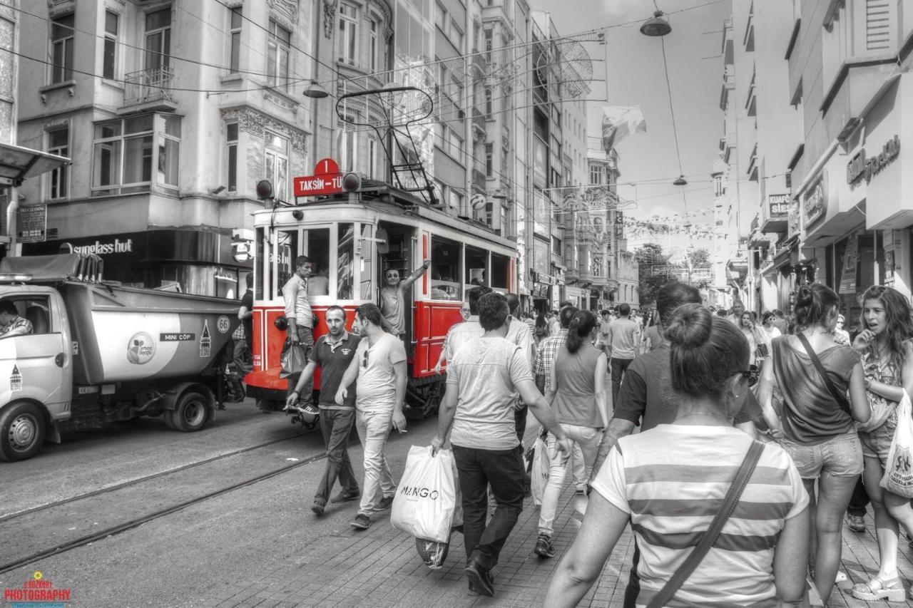 Taksim Lion 37 *