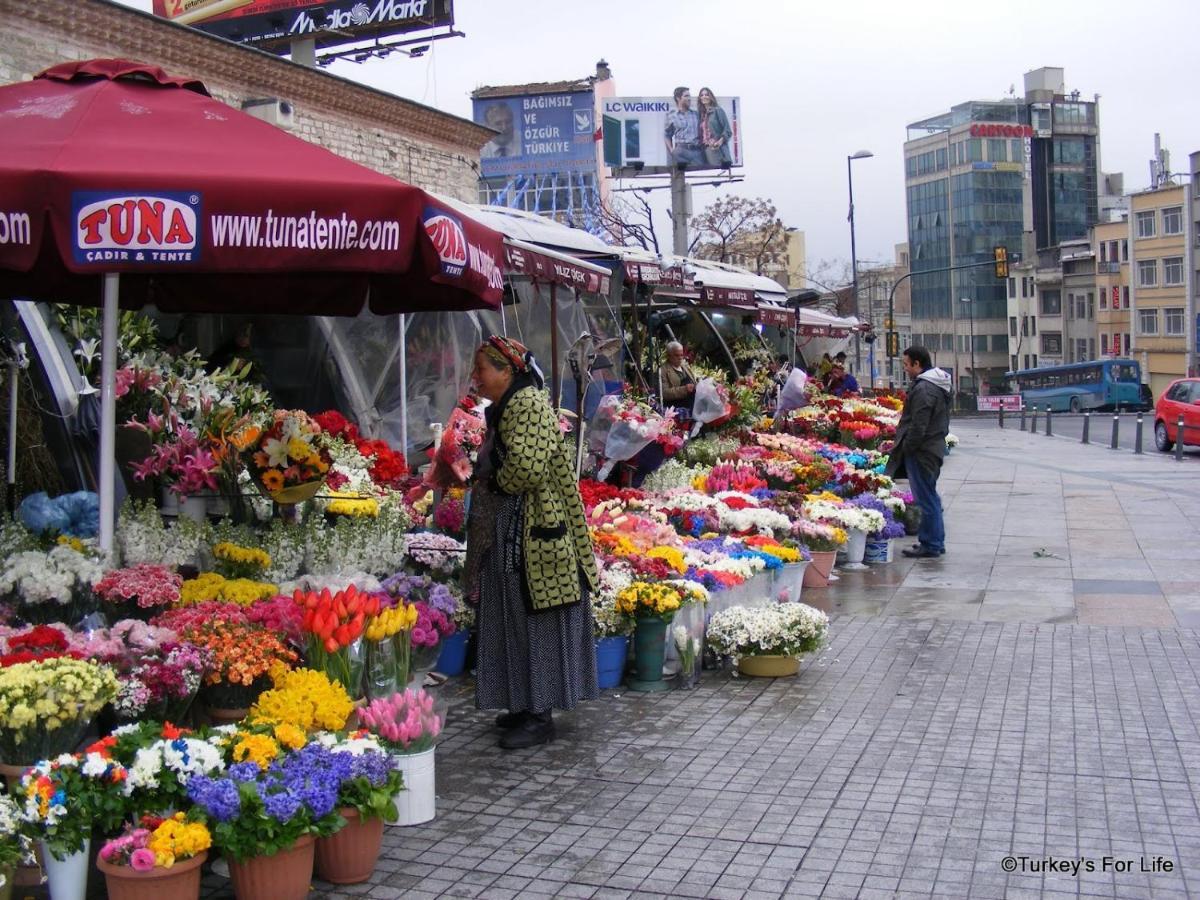 Taksim Lion 37 Hotel Provincia di Istanbul